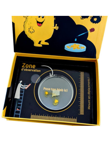 Coffret d'élevage de blob - La Blob Box