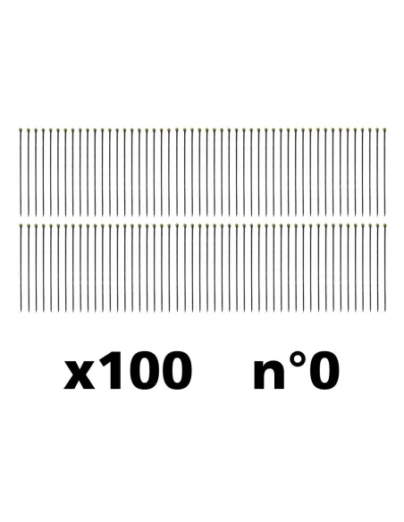 Black entomological pins (choice no. 00, 0, 1 or 2) (x100) - Le Club Biotope
