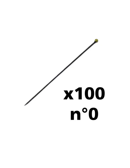 Épingles entomologiques noires (au choix n°00, 0, 1 ou 2) (x100) - Le Club Biotope