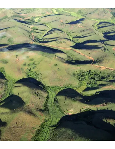 MADAGASCAR - The forest of our ancestors (English version)