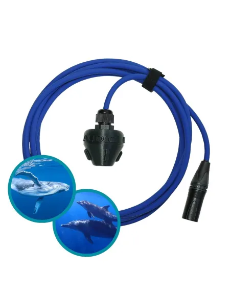 Hydrophone Manalive Audio with 8m cable, XLR tip