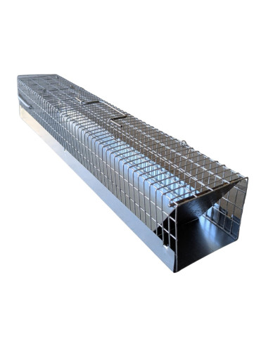 Non-lethal mustelid trap