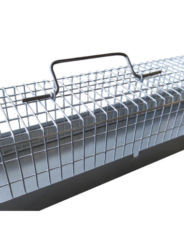 Non-lethal mustelid trap