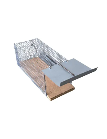 Piège non létal souricière