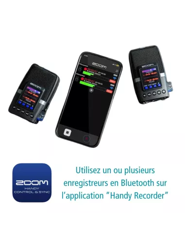 H2 Essential Zoom Portable Recorder - Le Club Biotope