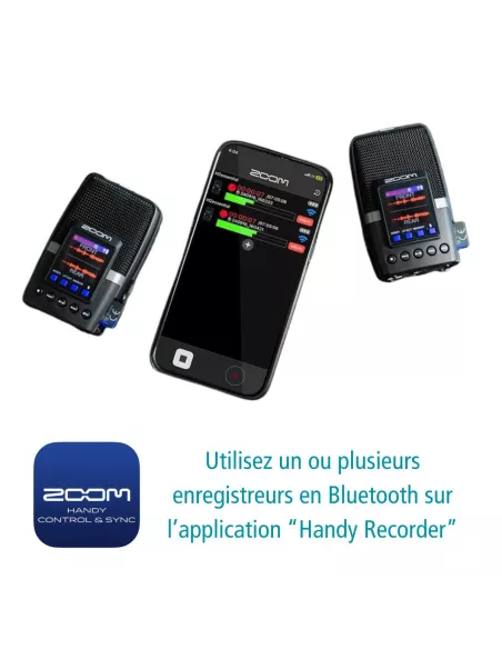 H2 Essential Zoom Portable Recorder - Le Club Biotope