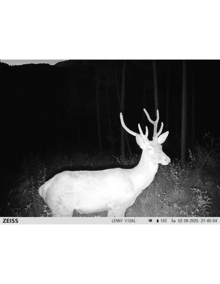 Piège photo vidéo Zeiss Secacam 7 LTE - 12MP