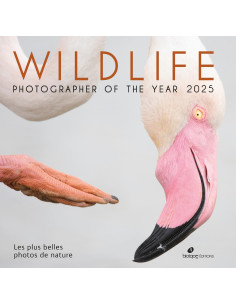 Wildlife Photographer of the Year 2025 - Les plus belles photos de nature