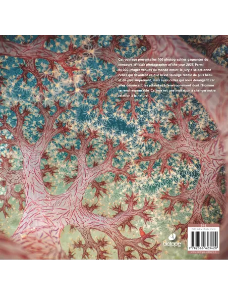 Wildlife Photographer of the Year 2025