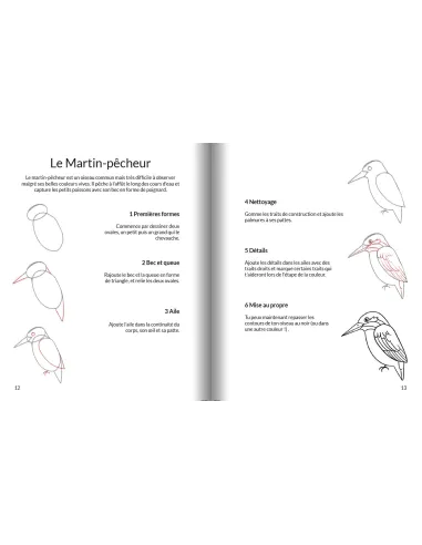 Apprendre à dessiner les oiseaux