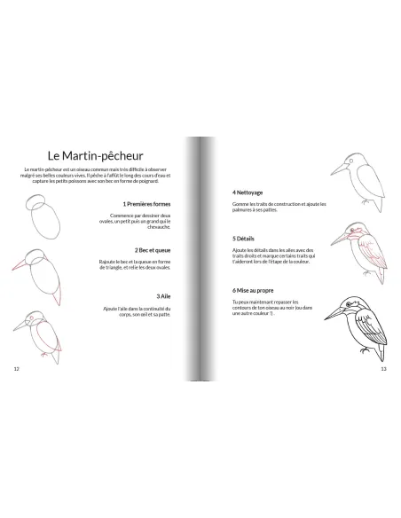 Apprendre à dessiner les oiseaux