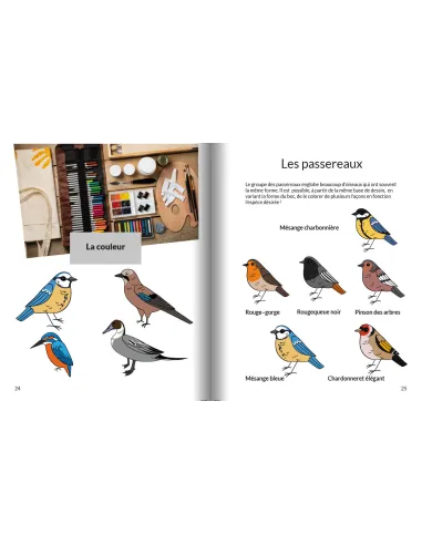 Apprendre à dessiner les oiseaux