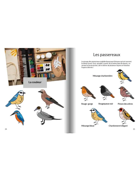 Apprendre à dessiner les oiseaux