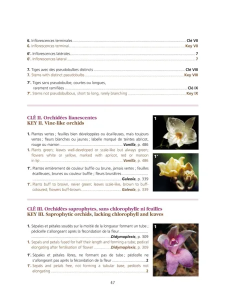 Orchids of Madagascar