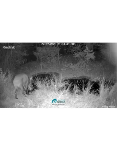 Reolink 4K Go Ranger WiFi and 4G LTE...