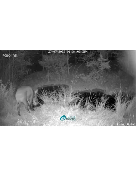 Reolink 4K Go Ranger WiFi and 4G LTE connected camera