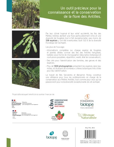 Les fougères et plantes alliés des...