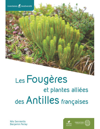 Les fougères et plantes alliés des...
