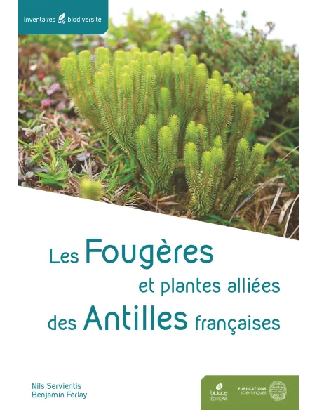 Les fougères et plantes alliés des Antilles françaises