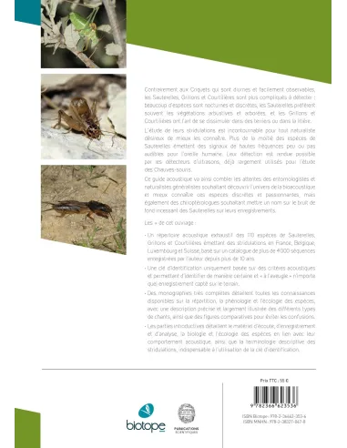 Acoustique des Sauterelles, grillons et courtilières