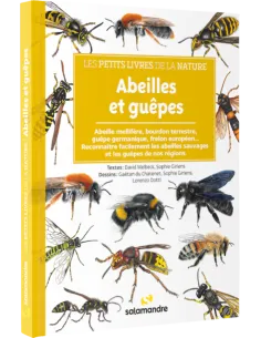 Les petits livres de la nature - Abeilles et guêpes