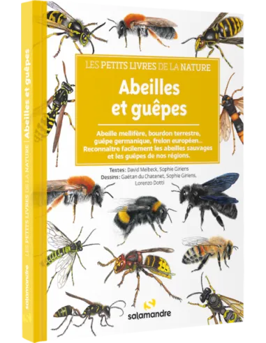 Les petits livres de la nature - Abeilles et guêpes