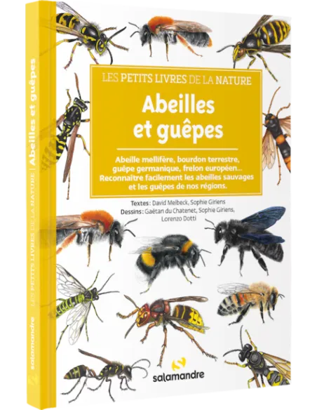 Les petits livres de la nature - Abeilles et guêpes
