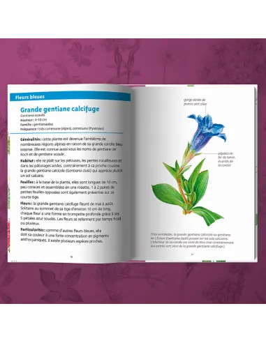 Les petits livres de la nature - Fleurs des montagnes