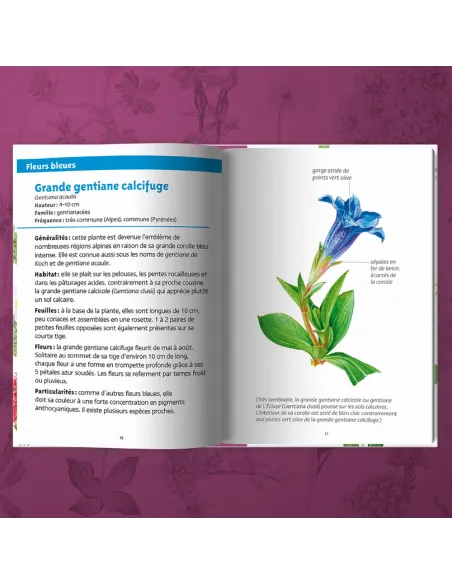Les petits livres de la nature - Fleurs des montagnes