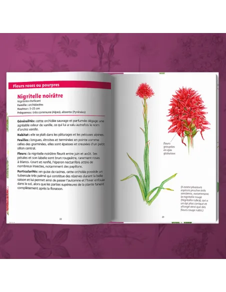 Les petits livres de la nature - Fleurs des montagnes