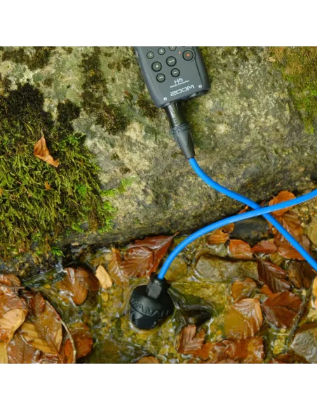 Hydrophone Manalive Audio with 8m cable, XLR tip