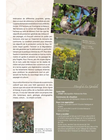 De Saint-Guilhem à l’Espinouse - Voyage dans les forêts de l’Hérault