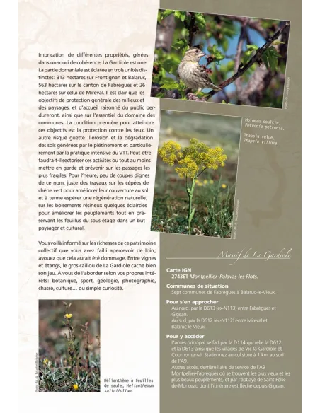 De Saint-Guilhem à l’Espinouse - Voyage dans les forêts de l’Hérault