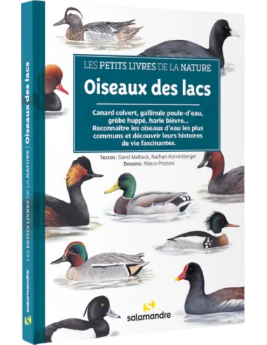 Oiseaux des lacs