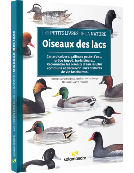 Oiseaux des lacs