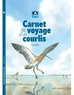 Carnet de voyage d'un Courlis