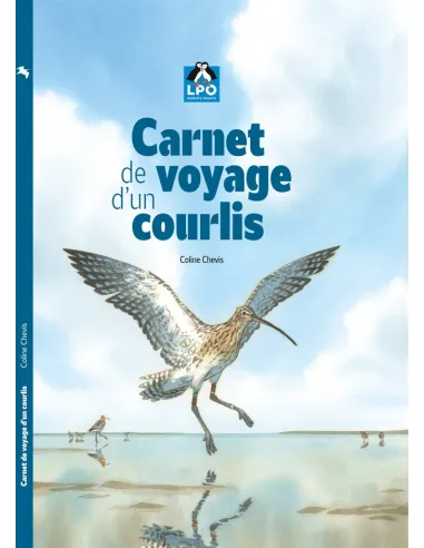 Carnet de voyage d'un Courlis