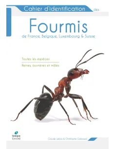 Cahier d'identification des fourmis de France