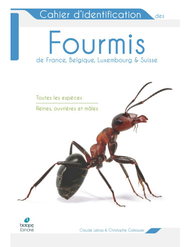 Cahier d'identification des fourmis de France