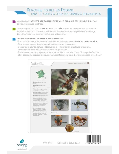 Cahier d'identification des fourmis