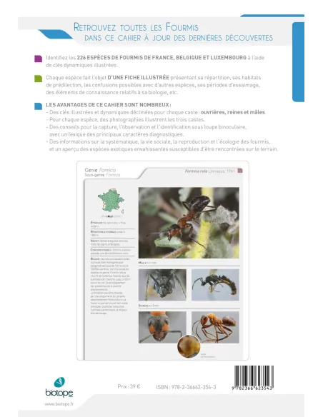 Cahier d'identification des fourmis