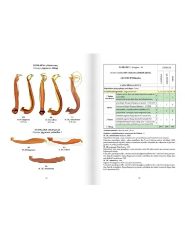 Clés des coléoptères aquatiques de France métropolitaine T2