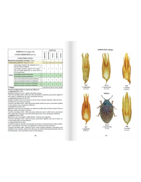 Clés des coléoptères aquatiques de France métropolitaine T2