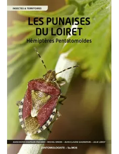 Les Punaises du Loiret