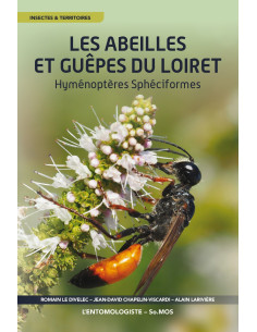 Les Abeilles et Guêpes du Loiret