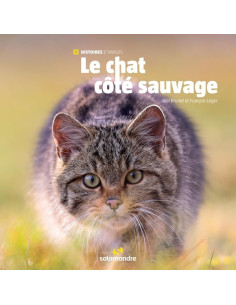 Le chat côté sauvage