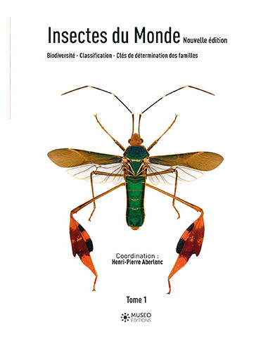Insectes du monde