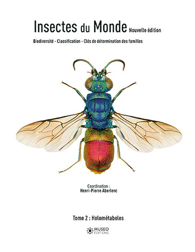 Insectes du monde