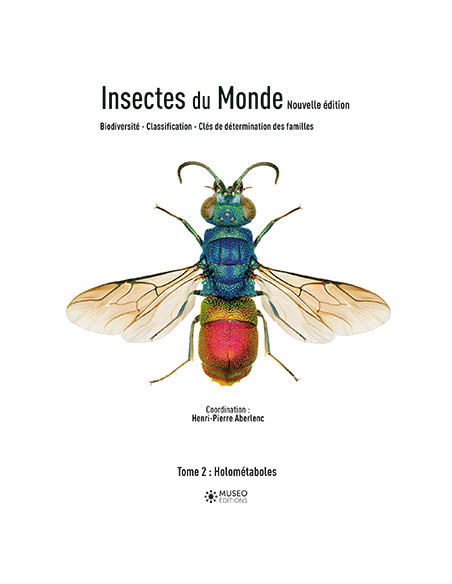 Insectes du monde