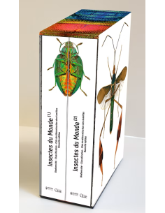 Insectes du monde